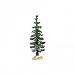 Blue Spruce Tree