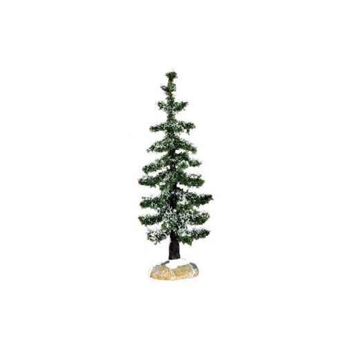 Blue Spruce Tree