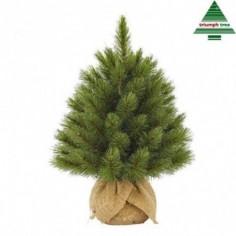 Forest frosted x-mas tree w burlap green TIPS 61 - h45xd36cm