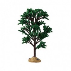 Green Elm Tree