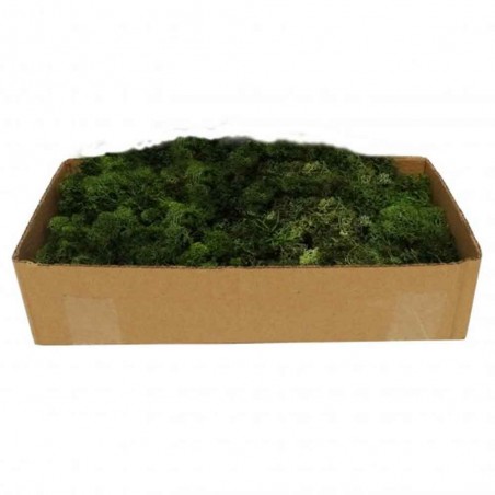 Reindeer Moss Dark Green 500Gr