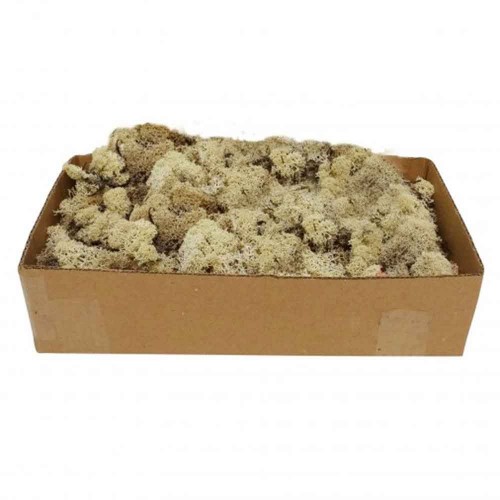 Reindeer Moss Natural 500Gr