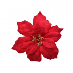 Poinsettia on clip