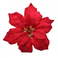 Poinsettia on clip plastic