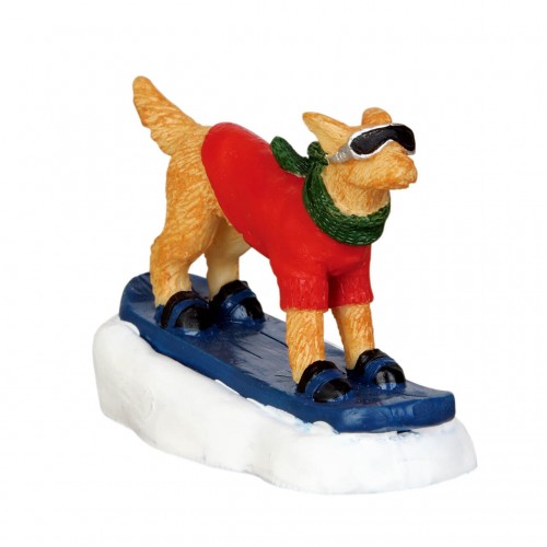 SNOWBOARDING DOG