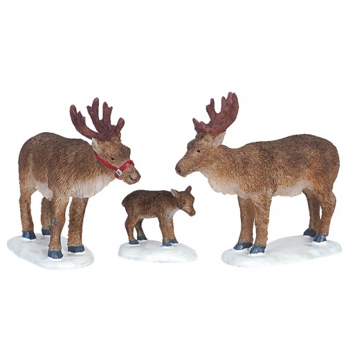 REINDEER, SET OF 3