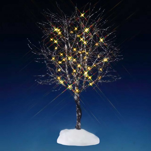 Butternut Tree, Clear Light Lemax
