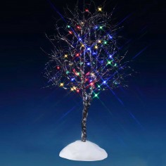 Butternut Tree, Multi Light...