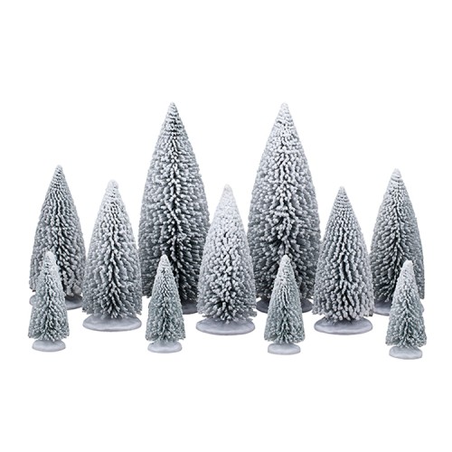 White Pine Trees