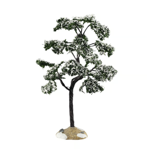 Marcescent Tree, Large