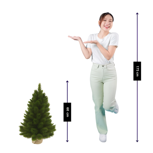 Triumph Tree Camden Kunstkerstboom H60 X D43cm