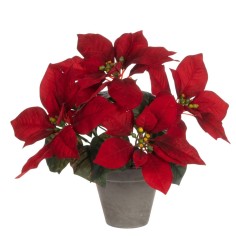 Poinsettia 27x35cm