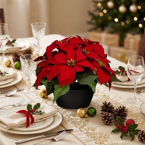 Poinsettia 25x35cm