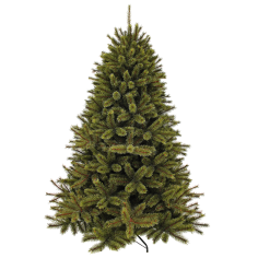 Forest Frosted Pine 305 x 188 cm