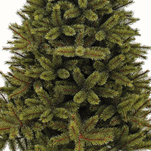 Forest Frosted Pine 305 x 188 cm