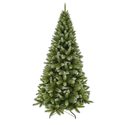 Pittsburgh Pine 120 x 71 cm