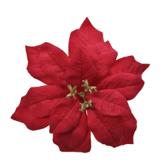 Poinsettia Velvet on Clip Terciopelo Rojo