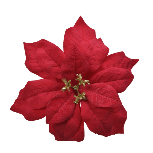 Poinsettia Velvet on Clip Terciopelo Rojo