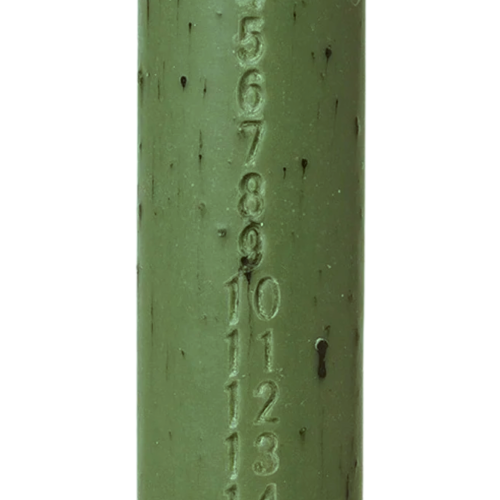 Vela de Adviento en Verde