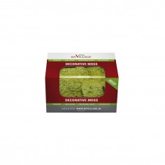 Reindeer Moss Light Green 50Gr