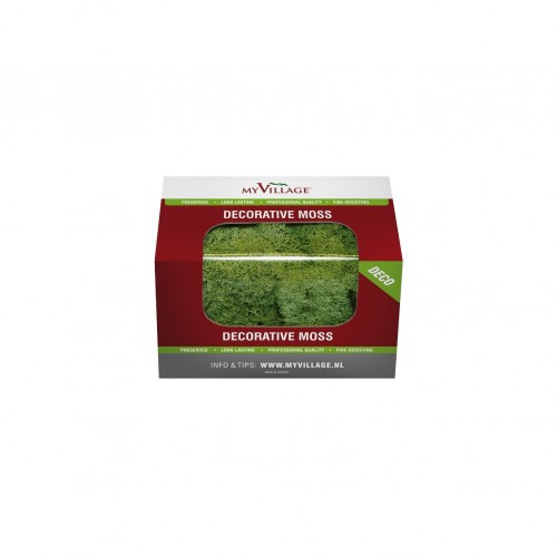 Reindeer Moss Green 50Gr